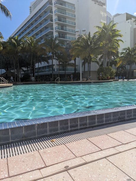 Let s Play fair star du porno archive