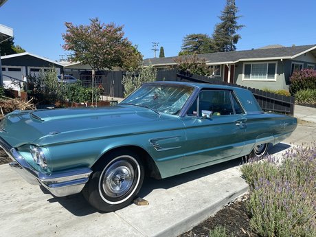 Hung TS Lora XXX actrice xxx galerie