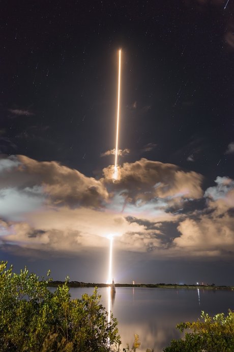 Mauri modèle images