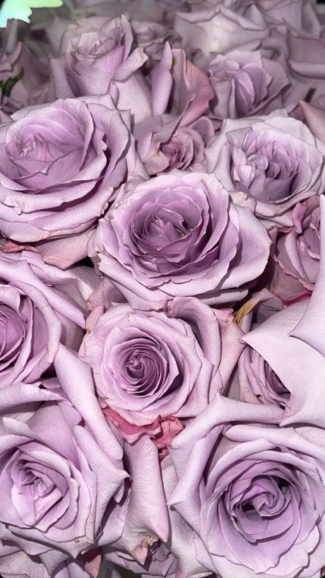 milf blonde uniquementfans assez gratuit photos