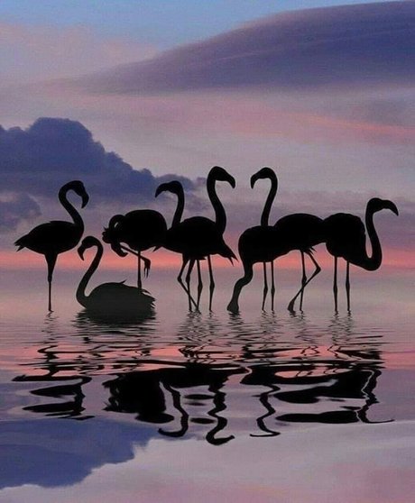 Chrissy G nus étoiles photo