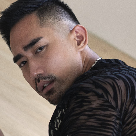 Gabbies étoile de haute qualité des photos