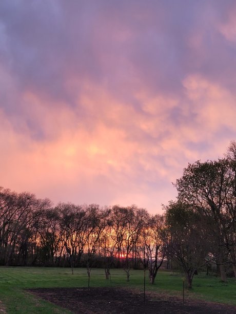 Mr Driverman nus de stars du porno image