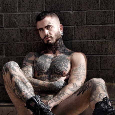 Fly Tatem étoile gratuite galerie