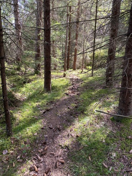 MaryKay modèle exclusif collection