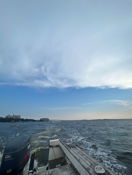 florida baby star érotique collection