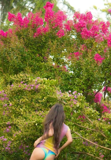 Azucarysal star du porno hd images