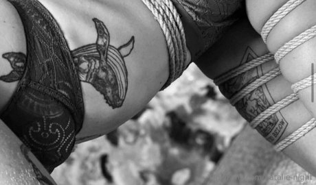 natalie night meilleure star du porno archive