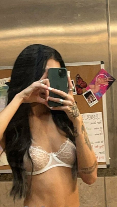 toriexotic étoile de l'art galeries