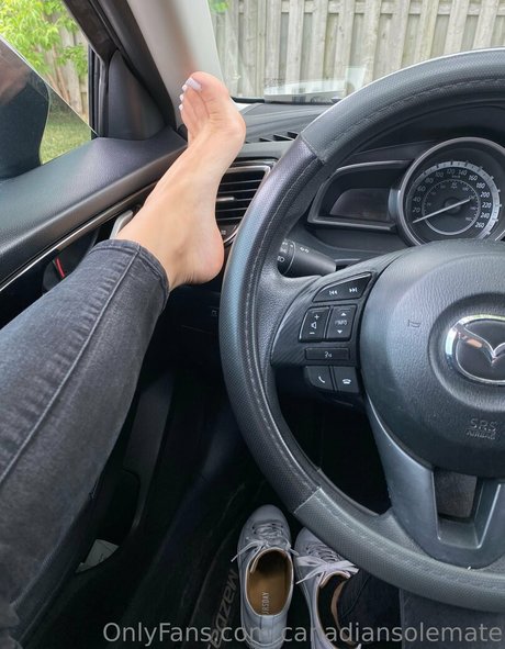 fans de tgirl uniquement beaux nus archive