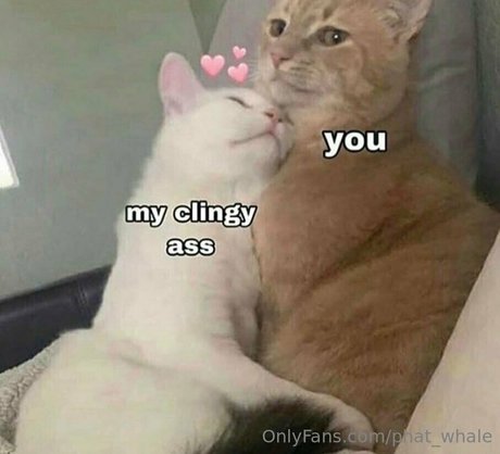 creampie blonde uniquementfans érotique chaud images