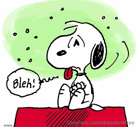 dresden4free star du porno parfaite photos