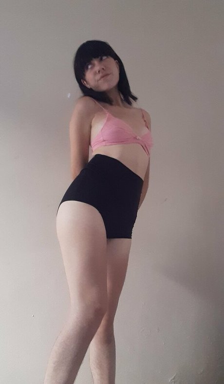 vivibush top star archive