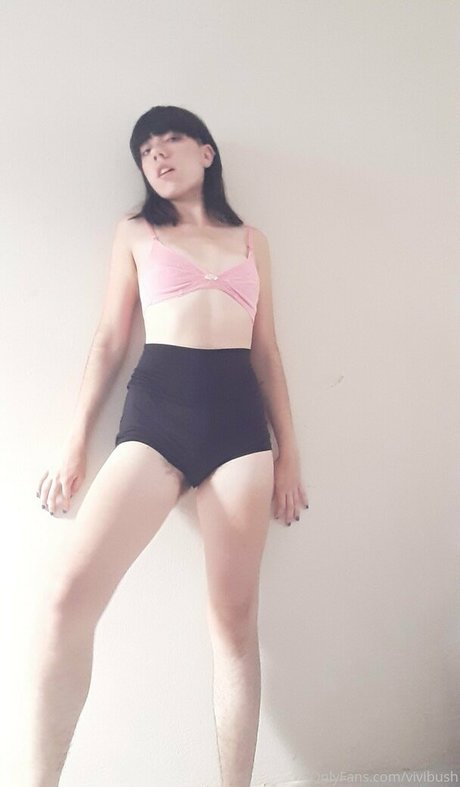 vivibush étoile hd photo