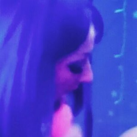 ravenragdoll nus étoiles des photos