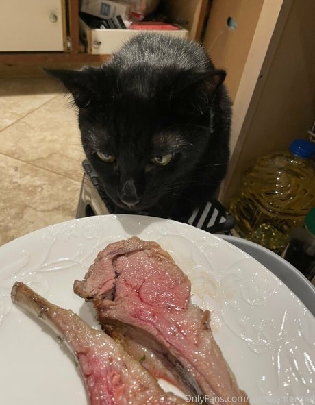 lewdgamermel star du porno galeries