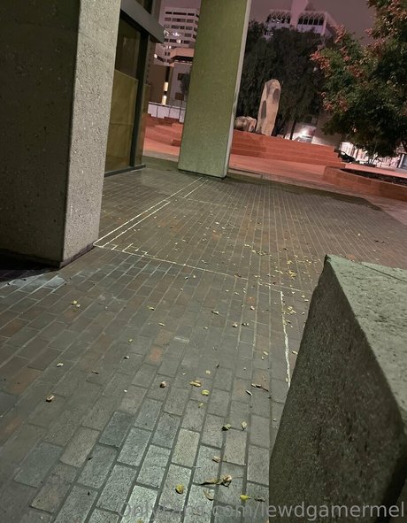 lewdgamermel modèle parfait image