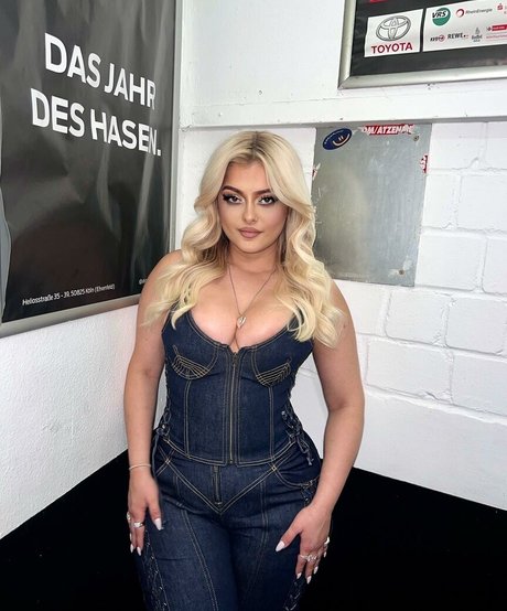 Bebe Rexha étoile adulte img