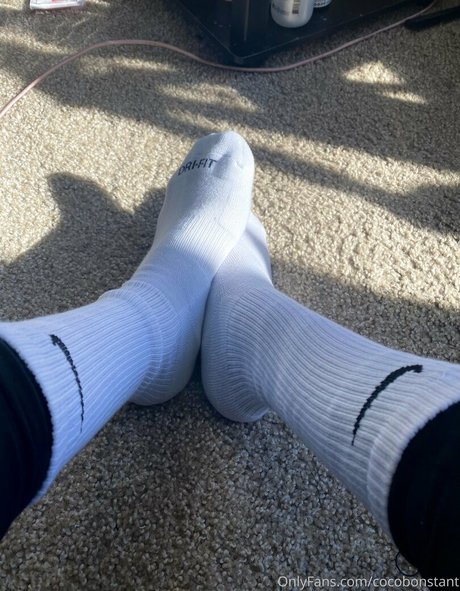 chaton potelé uniquementfans art meilleur galeries