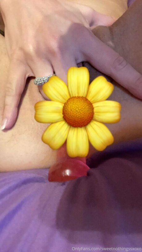 sweetnothingssxoxo star érotique collection