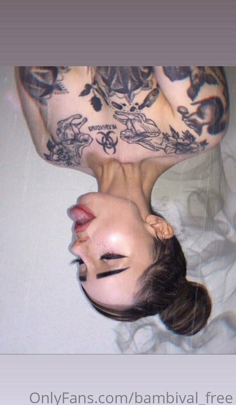 bambival free nus de stars du porno img