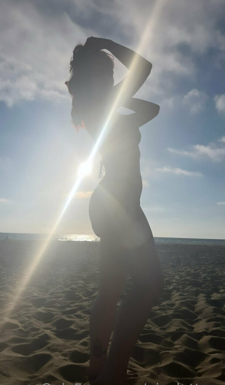 nicoletters haut étoile galeries