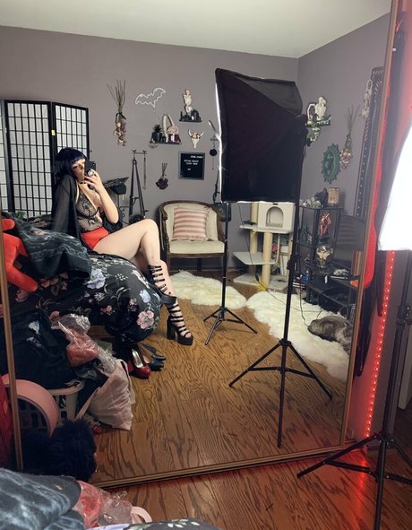 nicoletters modèle gratuit collection