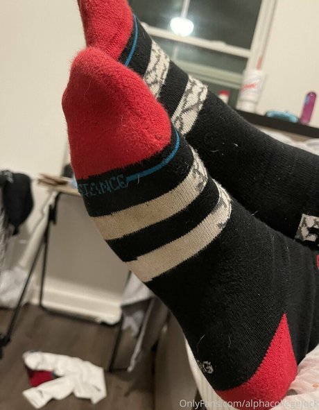 alphacollegejock star du porno parfaite galerie