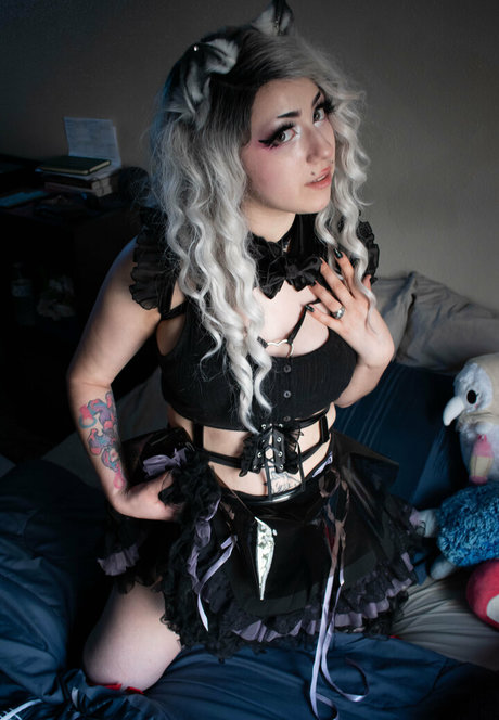 dahliaparisi étoile gratuite galeries