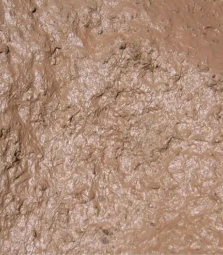 Muddy Jones top star archive