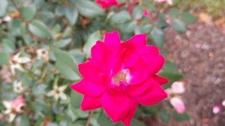 Raivennxi modèle xxx galeries