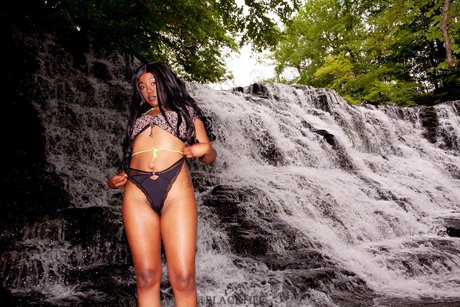 Damned Little Baby actrice pornographique archive