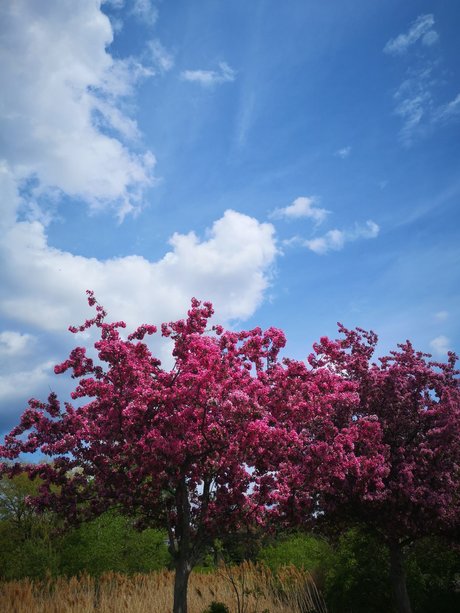 Echoiing meilleur modèle photos