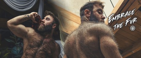 Teddy Bear top star images