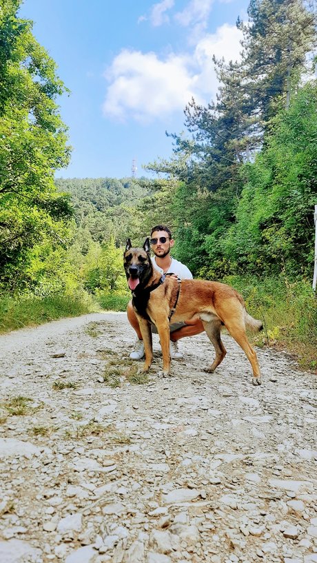 GB Dog Trainer star du porno érotique galerie