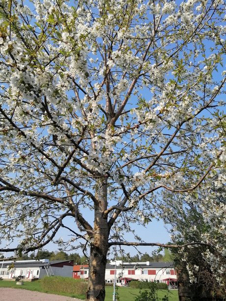 Curvy Libby modèle parfait galeries