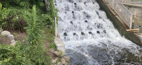 B The Fairy_ star du porno belle galerie