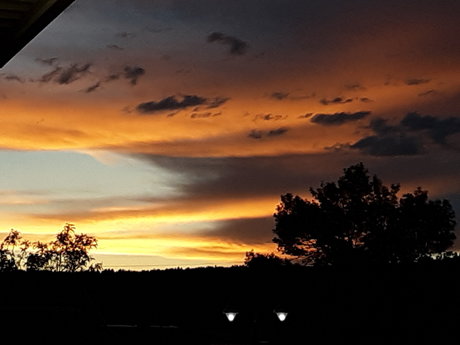 DarkWolfCarlton étoile exclusive images