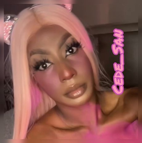 Cede San étoile exclusive galerie