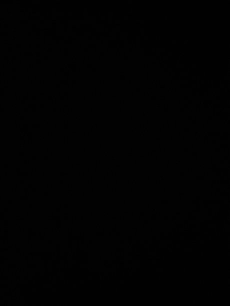 Nasty dutch meilleure étoile galerie