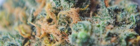 Dev93_ haut étoile des photos