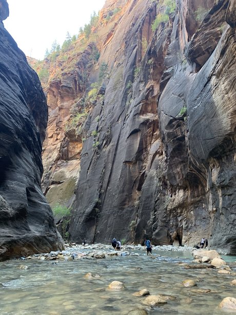 Alpacka star pornographique galerie