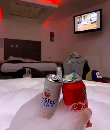 Aleina Castro belle star du porno collection