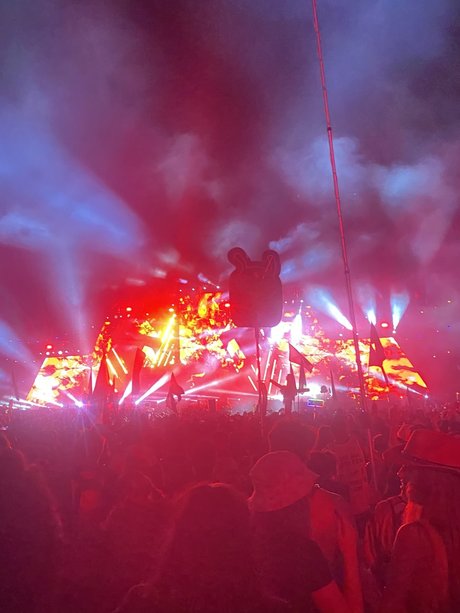 Fry actrice libre collection