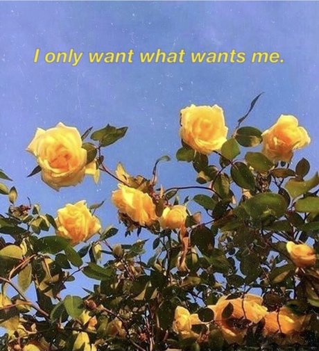 French BB star du porno gratuite photo