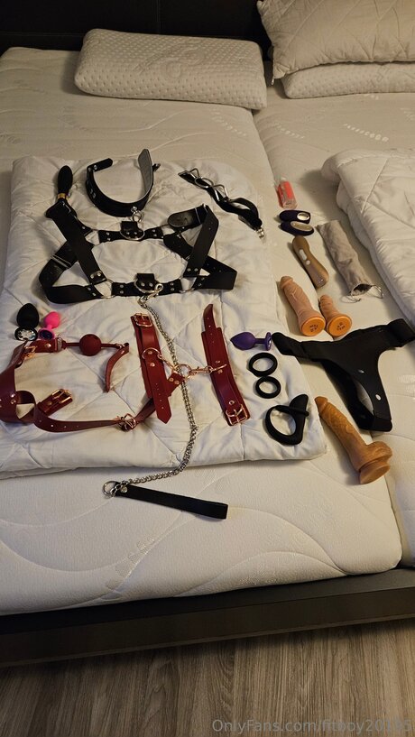 fitboy20195 star du porno sexy archive