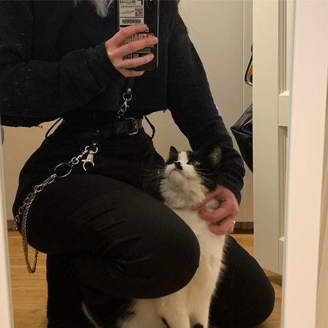 embla étoile parfaite photo