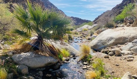 Oasis_ modèle parfait img