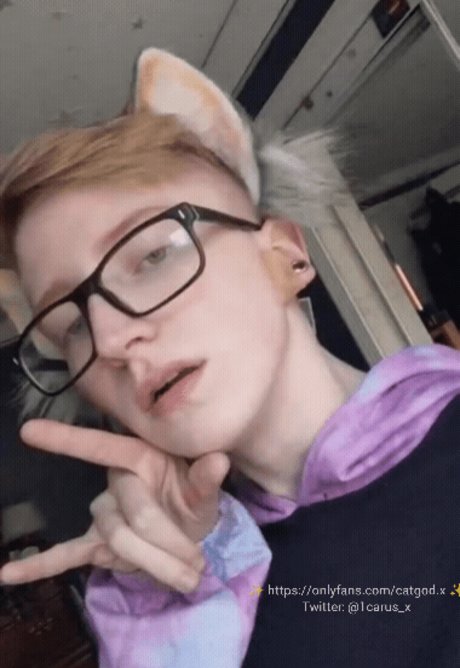 Icarus the Cat God actrice parfaite images