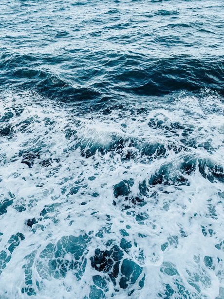 Brandy Sunshine belle étoile archive